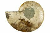 Cut & Polished Ammonite Fossil (Half) - Crystal Pockets #310682-1